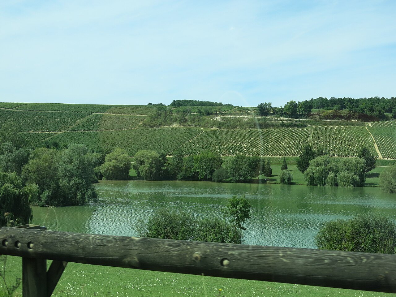 The vineyards of Chablis