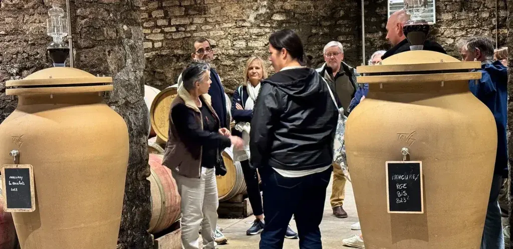 Wine tasting during an afternoon excursion