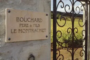 BPF_Porte_Montrachet1_600px_450px-310x207