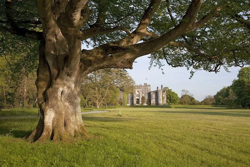 Birr Castle seen from beneath a tree in its gardens