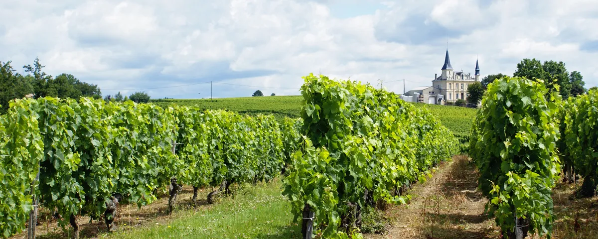 Bordeaux