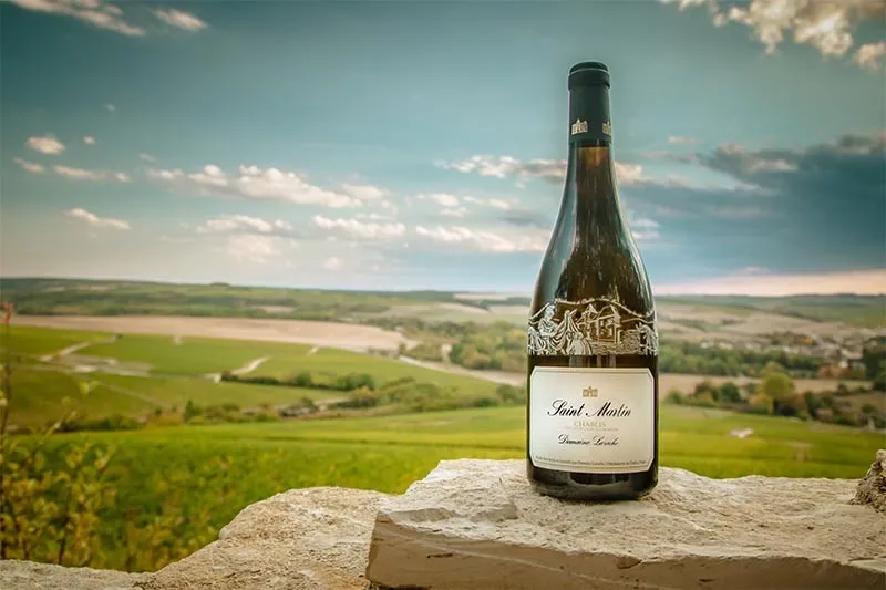 Domaine-Laroche-5-copy-min