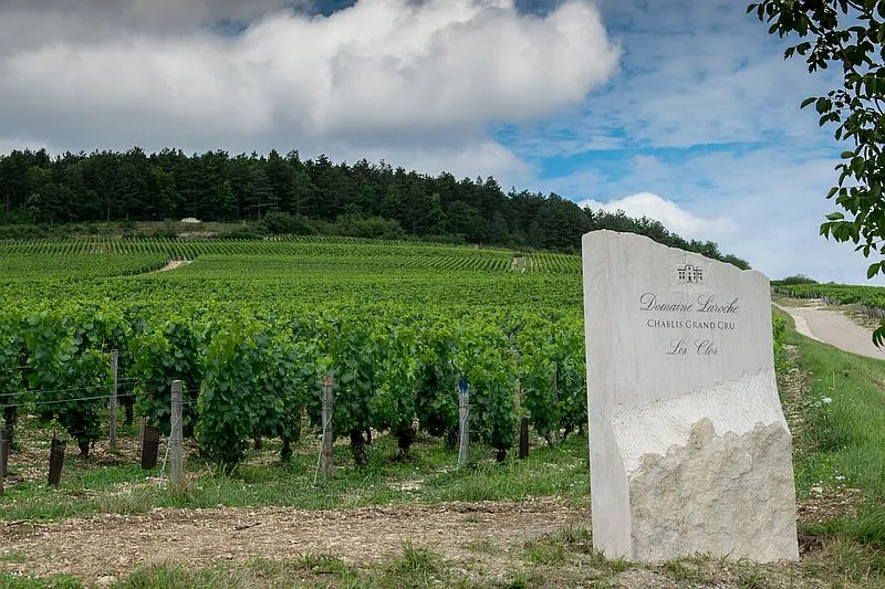 Domaine-Laroche-in-Chablis