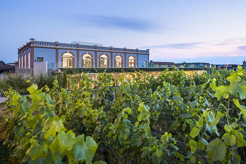 The Pressoria champagne museum