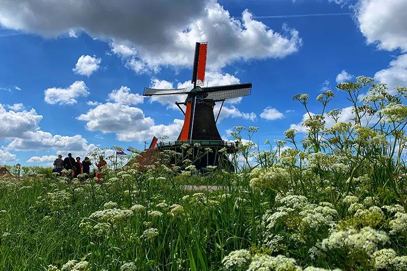 The windmills of Zaanse Schans