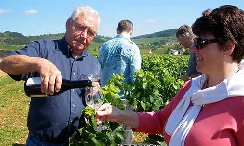 wine-tasting-500x300