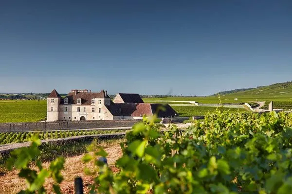 Château-du-Clos-de-Vougeot-600x400
